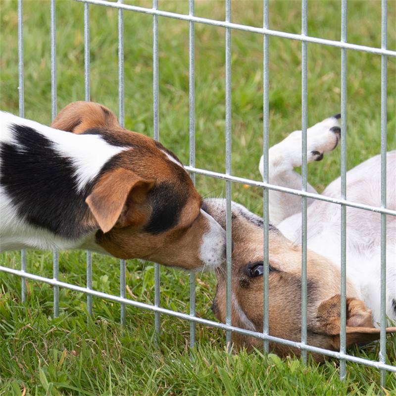 Clôture rigide pour animaux : sécurité à toute épreuve